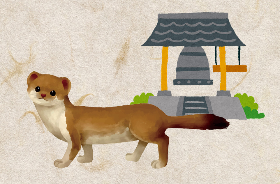 円周寺の貂（テン）